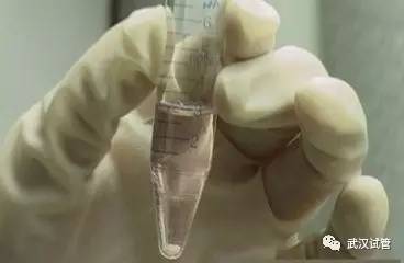 安徽合肥省妇幼保健院供卵试管婴儿成功率