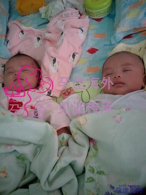 安徽省人民医院供卵做试管婴儿哪个试管婴儿医生好