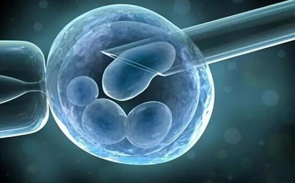 宫外孕多久可以做赠卵试管移植