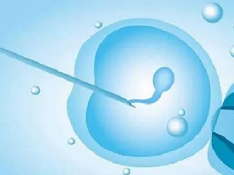 合肥安徽医院赠卵试管婴儿费用多少