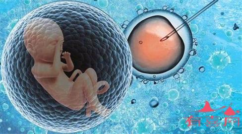 大型医学调查：国内代怀机构包成功不逊自然妊娠婴儿